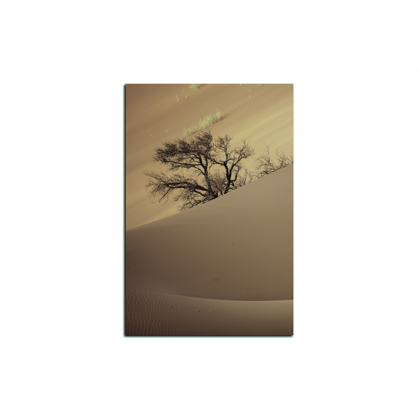 Obraz na plátně - Červené písečné duny - obdélník